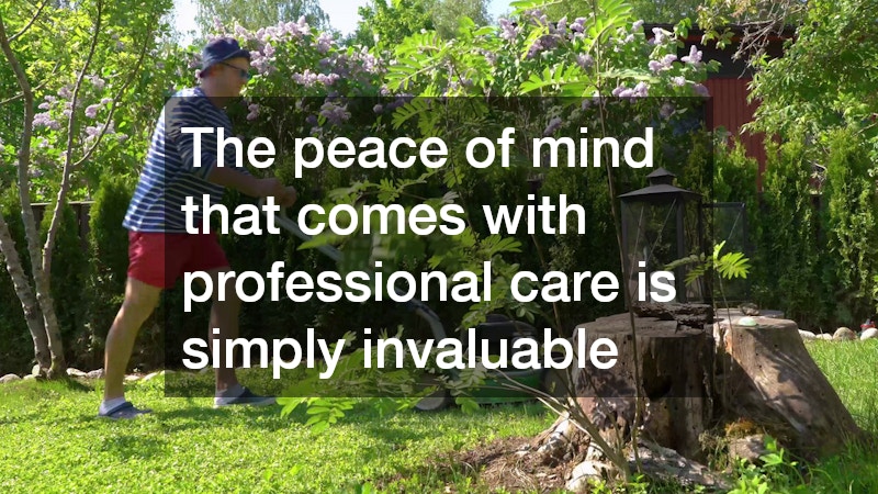 The peace of mind that comes with professional care is simply invaluable