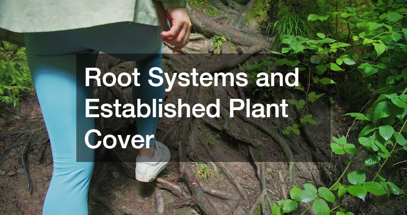 Root Systems and Established Plant Cover