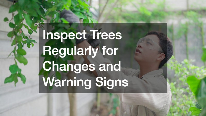 Inspect Trees Regularly for Changes and Warning Signs