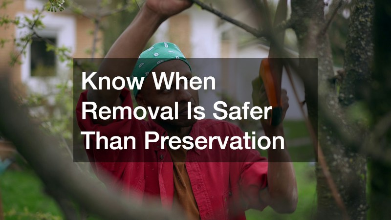 Know When Removal Is Safer Than Preservation