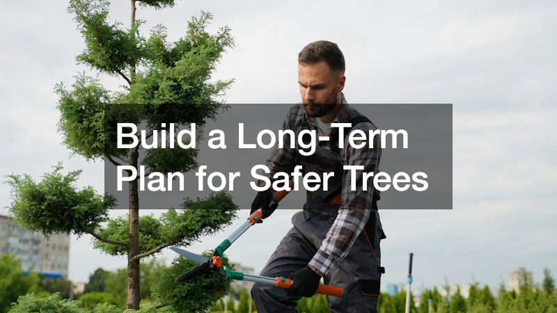 Build a Long-Term Plan for Safer Trees