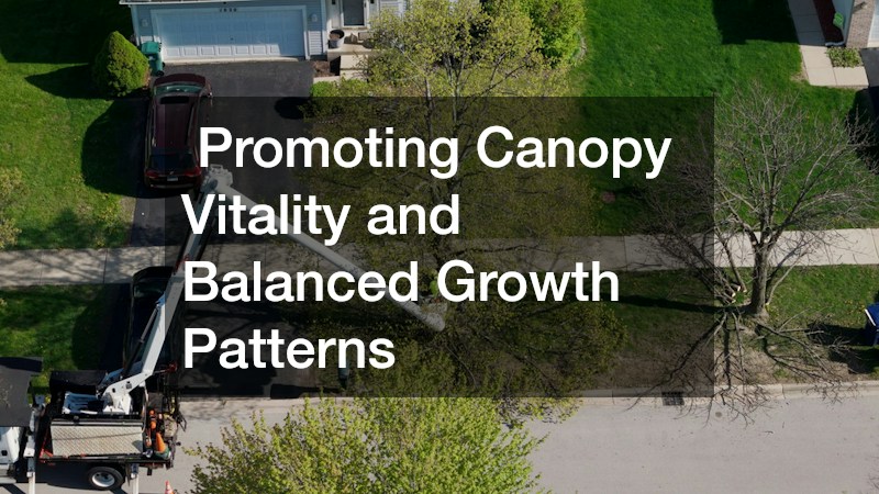 Promoting Canopy Vitality and Balanced Growth Patterns