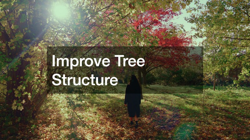 Improve Tree Structure