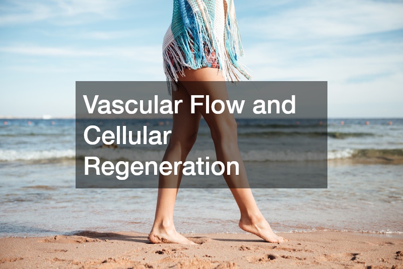 Vascular Flow and Cellular Regeneration
