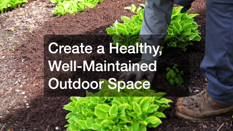 Create a Healthy, Well-Maintained Outdoor Space