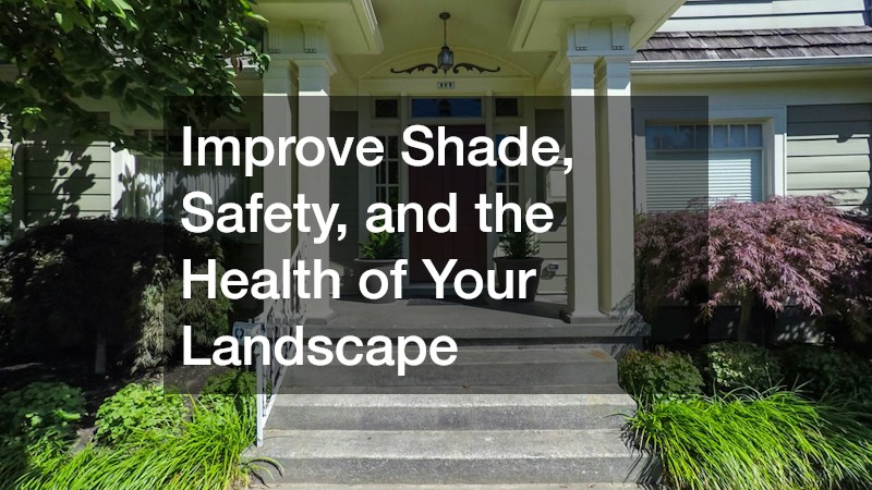 Improve Shade, Safety, and the Health of Your Landscape