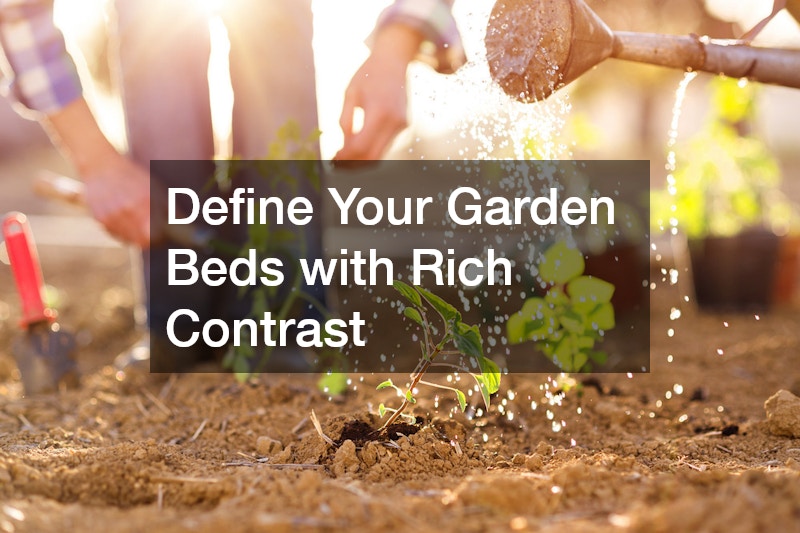 Define Your Garden Beds with Rich Contrast