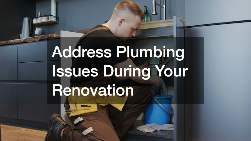 Address Plumbing Issues During Your Renovation