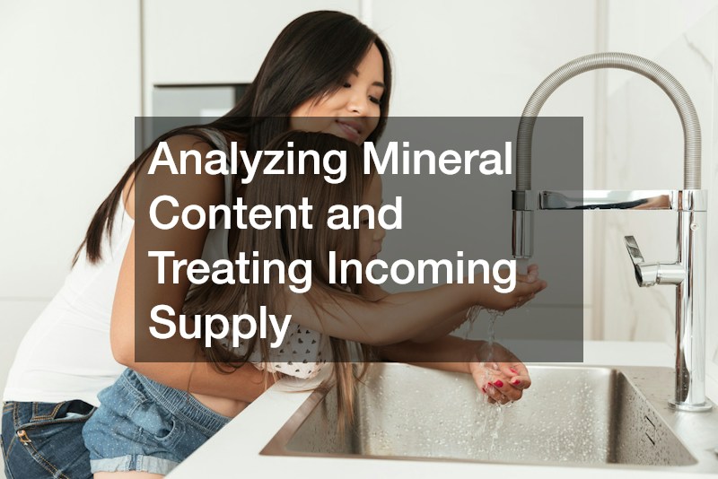 Analyzing Mineral Content and Treating Incoming Supply