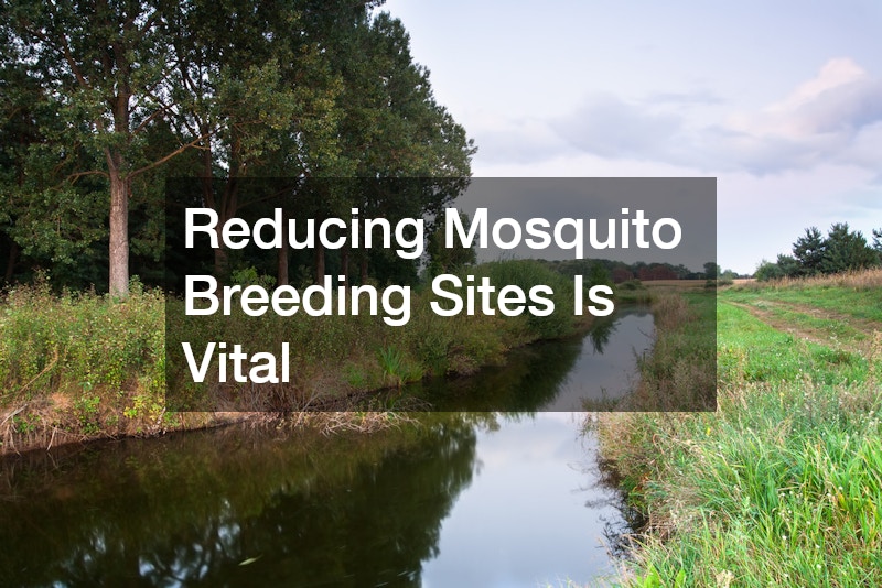 Reducing Mosquito Breeding Sites Is Vital