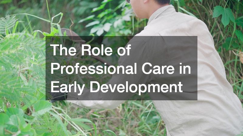 The Role of Professional Care in Early Development