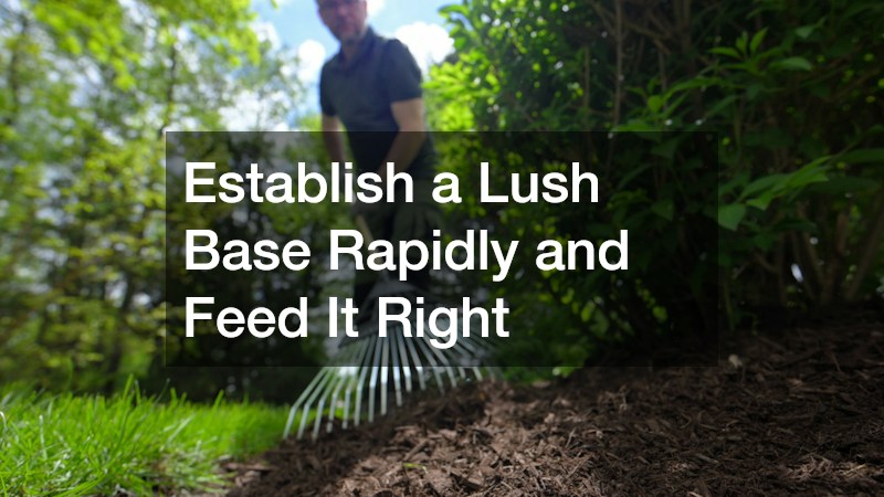 Establish a Lush Base Rapidly and Feed It Right