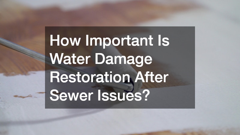 How Important Is Water Damage Restoration After Sewer Issues?
