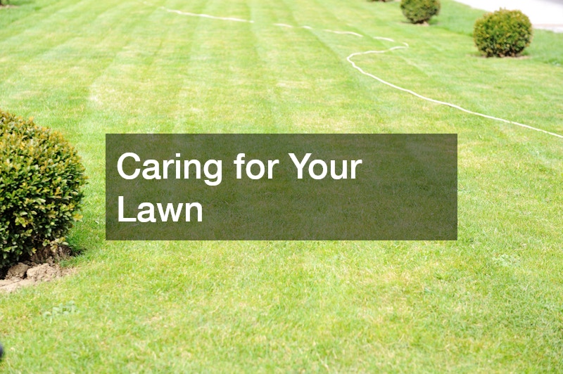 Caring for Your Lawn