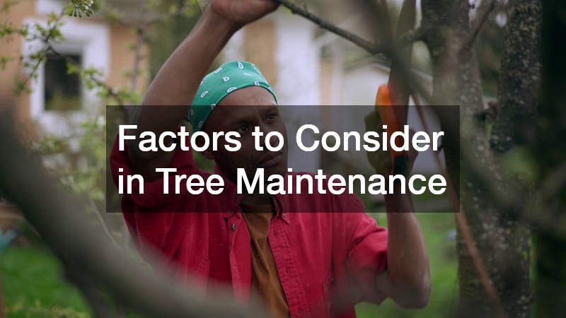 Factors to Consider in Tree Maintenance