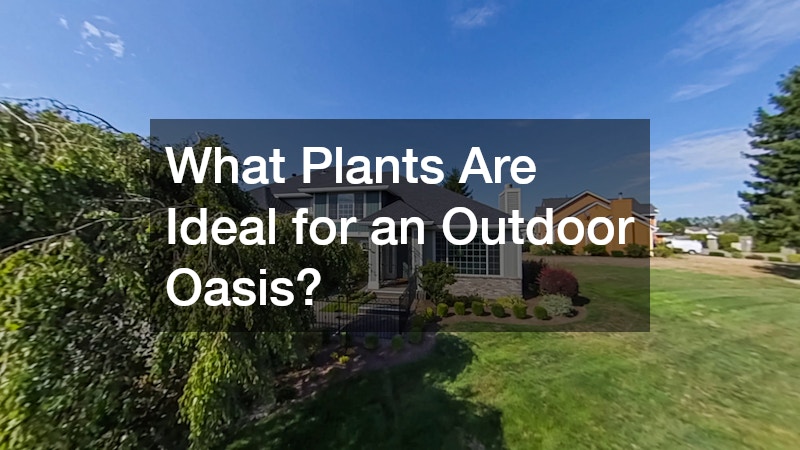 What Plants Are Ideal for an Outdoor Oasis?