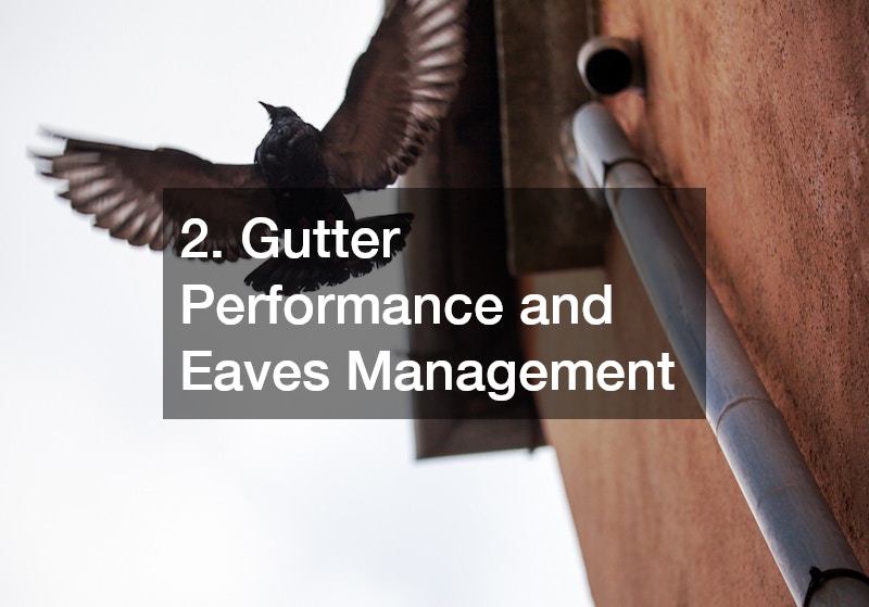 2. Gutter Performance and Eaves Management