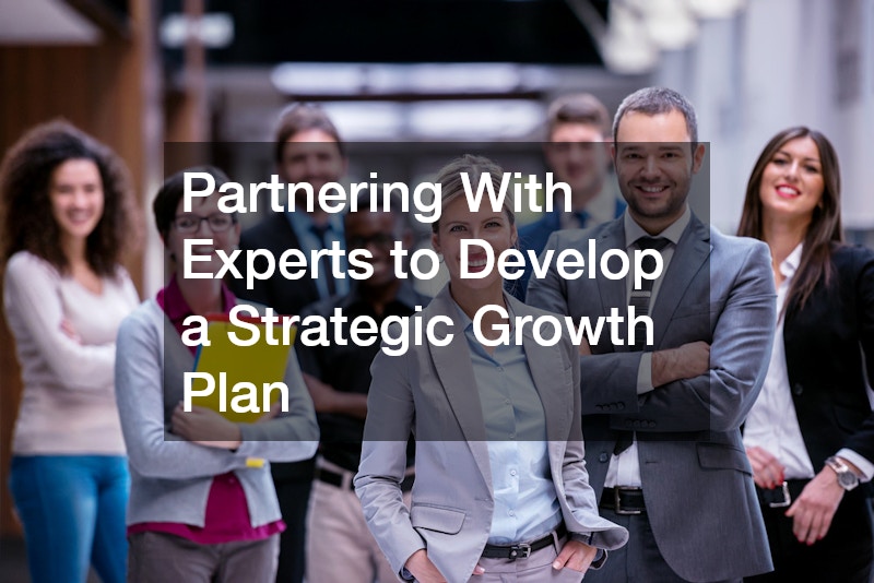 Partnering With Experts to Develop a Strategic Growth Plan