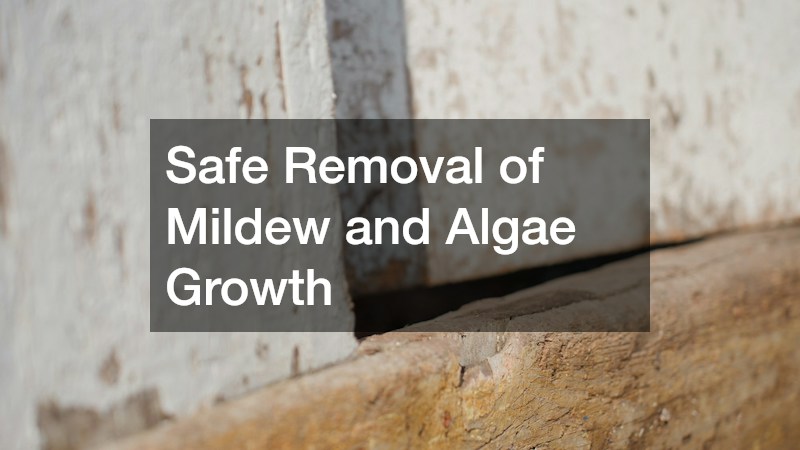 Safe Removal of Mildew and Algae Growth