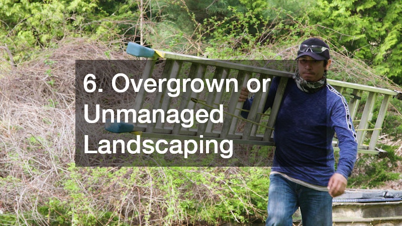 6. Overgrown or Unmanaged Landscaping