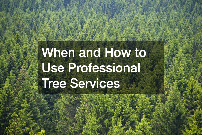 When and How to Use Professional Tree Services