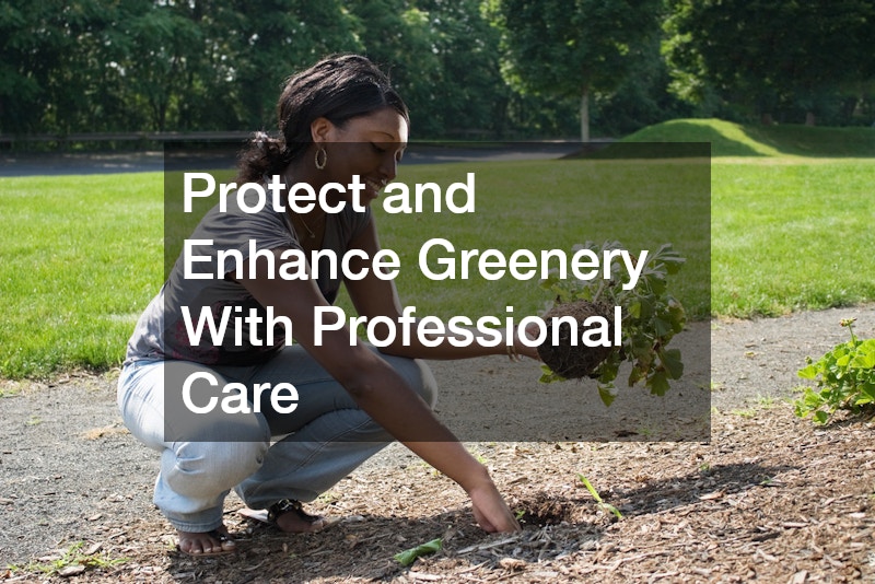 Protect and Enhance Greenery With Professional Care