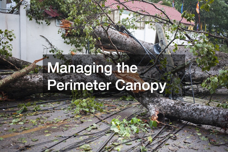 Managing the Perimeter Canopy