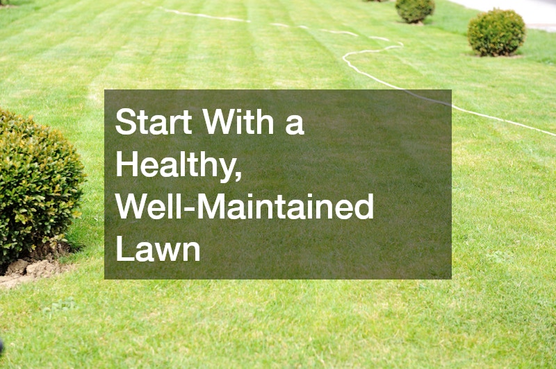 Start With a Healthy, Well-Maintained Lawn