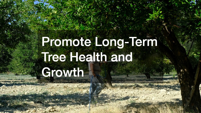 Promote Long-Term Tree Health and Growth