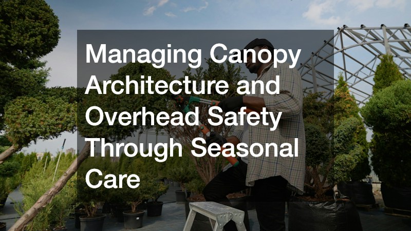 Managing Canopy Architecture and Overhead Safety Through Seasonal Care