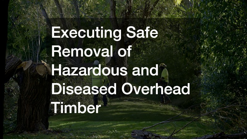 Executing Safe Removal of Hazardous and Diseased Overhead Timber
