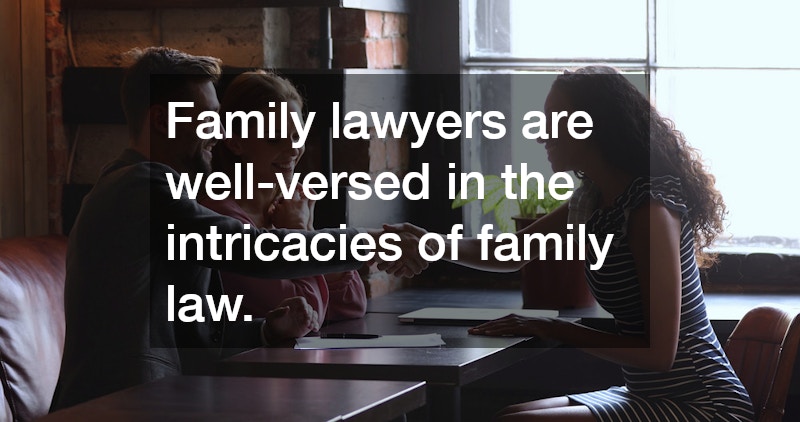 Family lawyers are well-versed in the intricacies of family law.