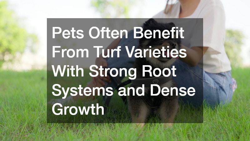 Pets Often Benefit From Turf Varieties With Strong Root Systems and Dense Growth