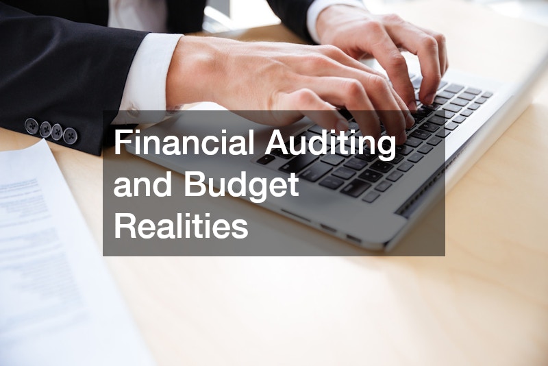 Financial Auditing and Budget Realities