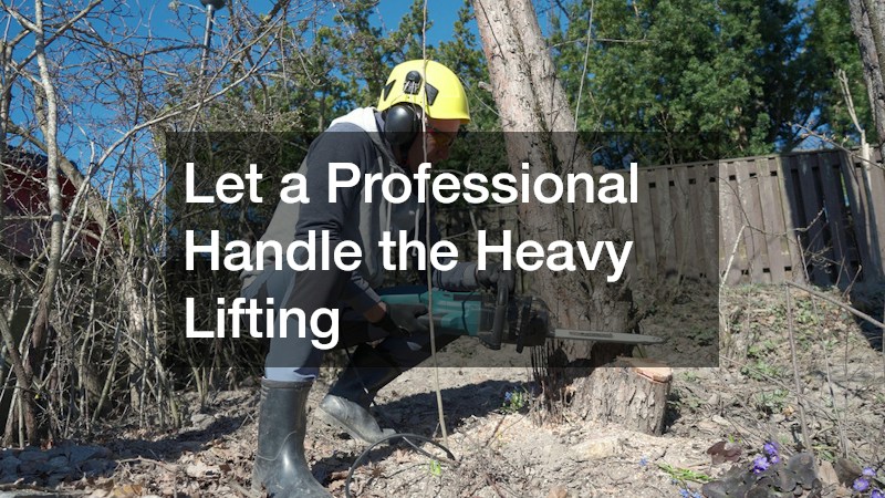 Let a Professional Handle the Heavy Lifting