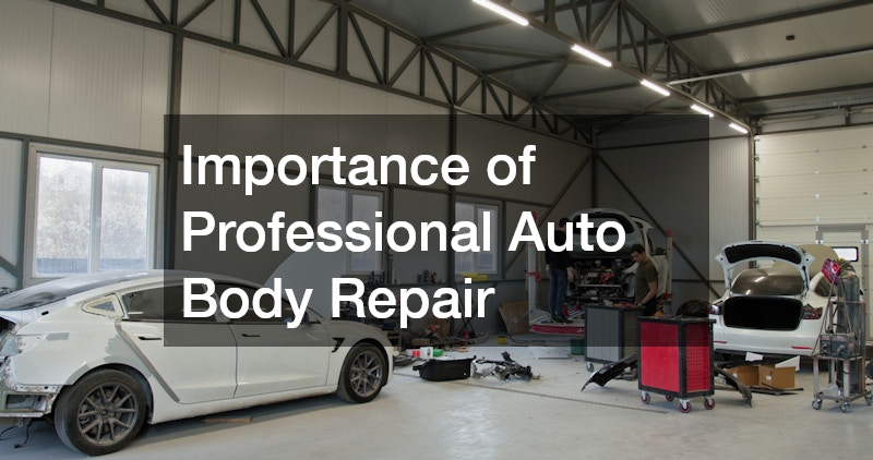 Importance of Professional Auto Body Repair