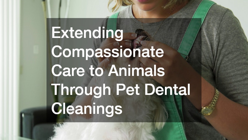 Extending Compassionate Care to Animals Through Pet Dental Cleanings