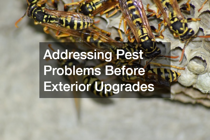 Addressing Pest Problems Before Exterior Upgrades