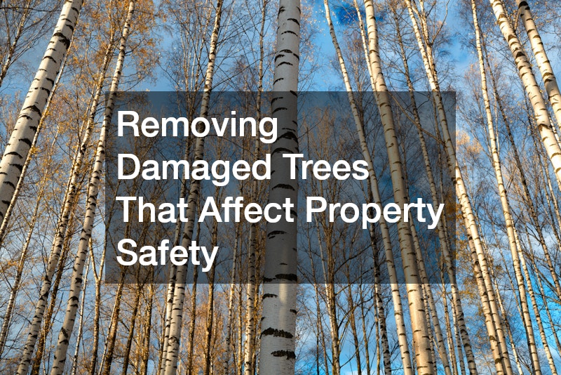 Removing Damaged Trees That Affect Property Safety