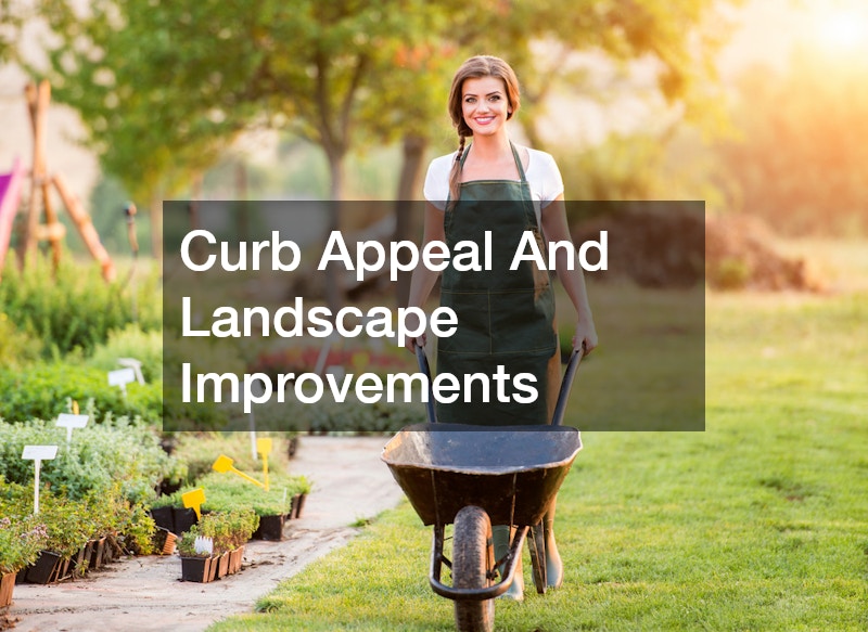 Curb Appeal And Landscape Improvements