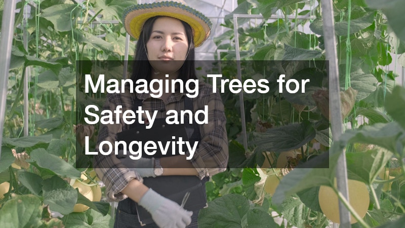 Managing Trees for Safety and Longevity