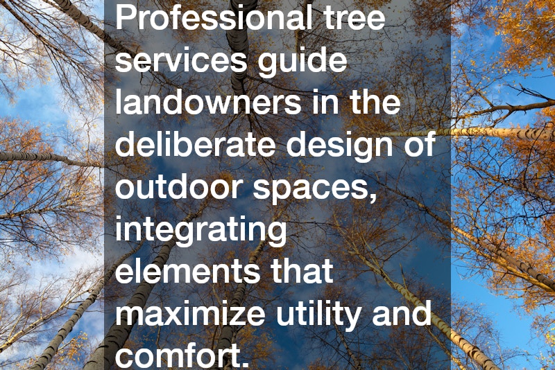 Professional tree services guide landowners in the deliberate design of outdoor spaces, integrating elements that maximize utility and comfort.