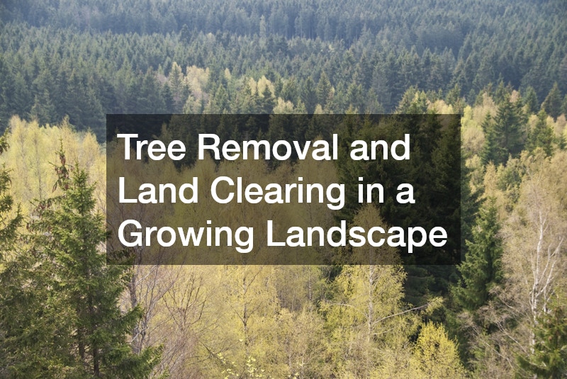 Tree Removal and Land Clearing in a Growing Landscape