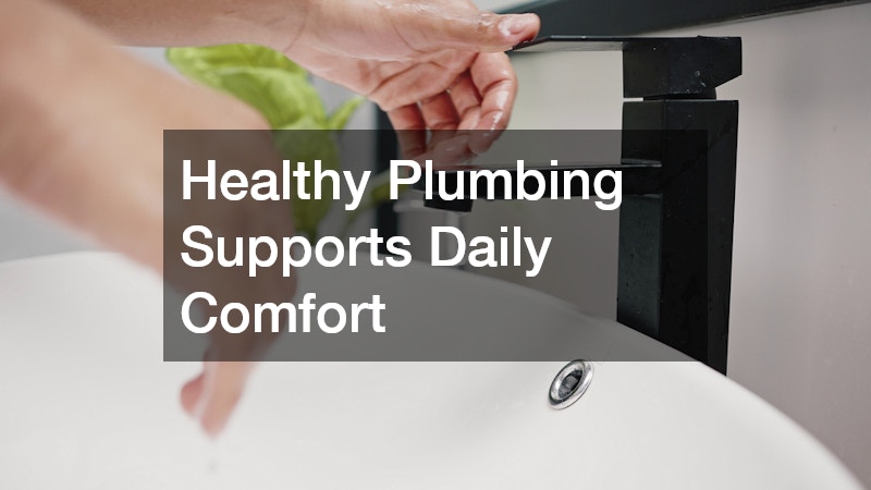 Healthy Plumbing Supports Daily Comfort