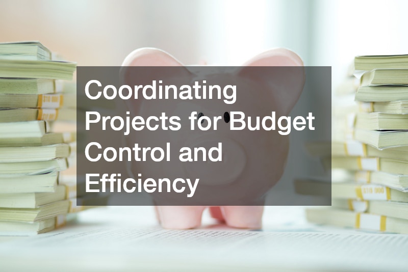 Coordinating Projects for Budget Control and Efficiency