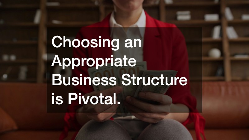 Choosing an Appropriate Business Structure is Pivotal.