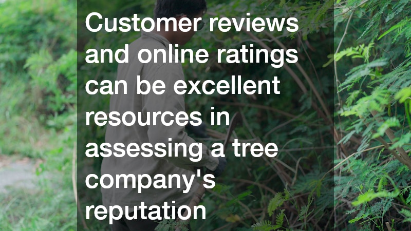 Customer reviews and online ratings can be excellent resources in assessing a tree company