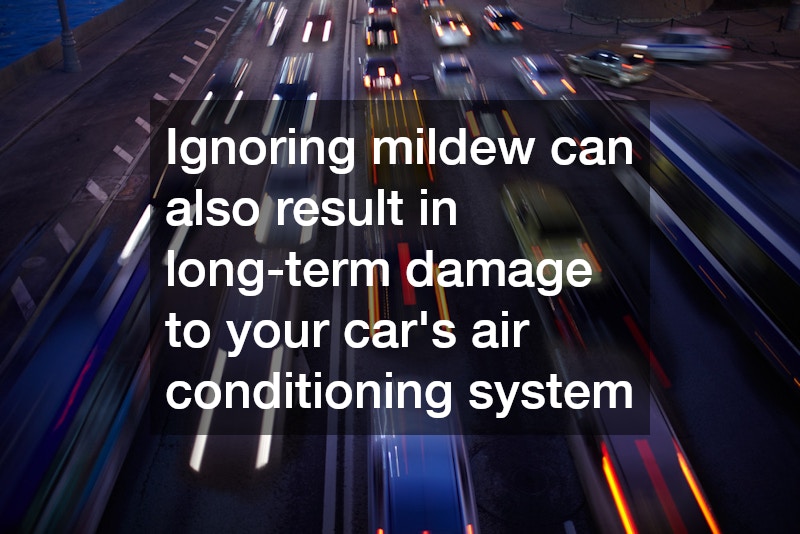 Ignoring mildew can also result in long-term damage to your car