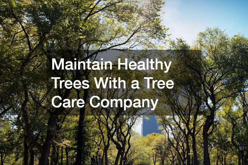 Maintain Healthy Trees With a Tree Care Company