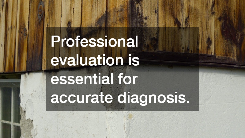 Professional evaluation is essential for accurate diagnosis.